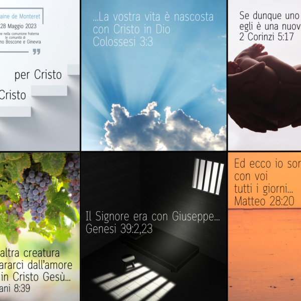 studio ginevra (6)